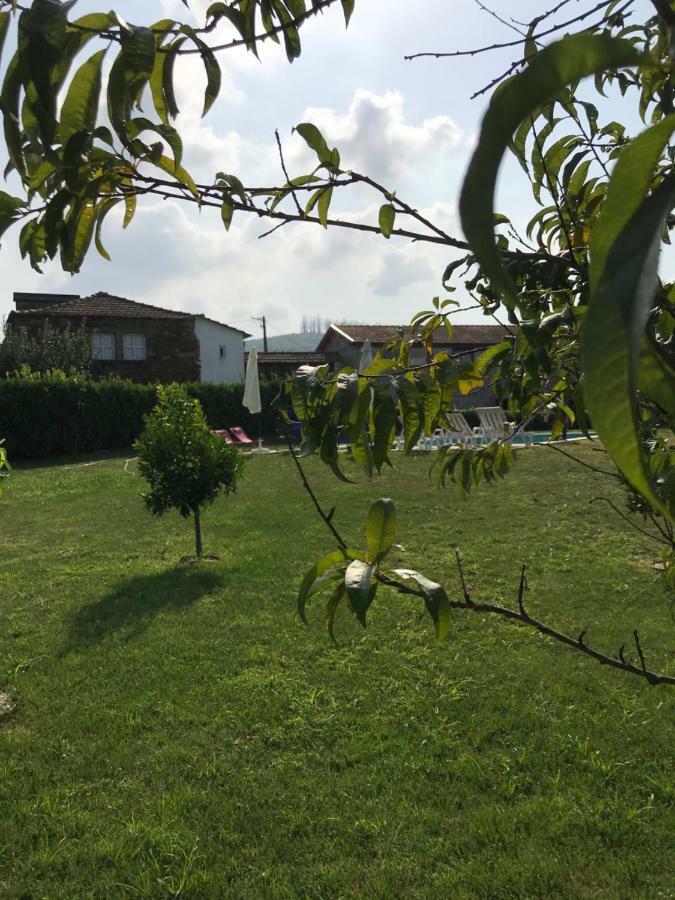 Casa Do Villas カステロ・デ・パイヴァ エクステリア 写真